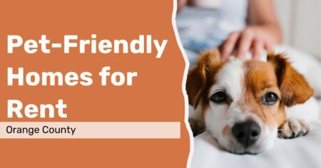 Affordable Pet Friendly Homes For Rent In Orange County