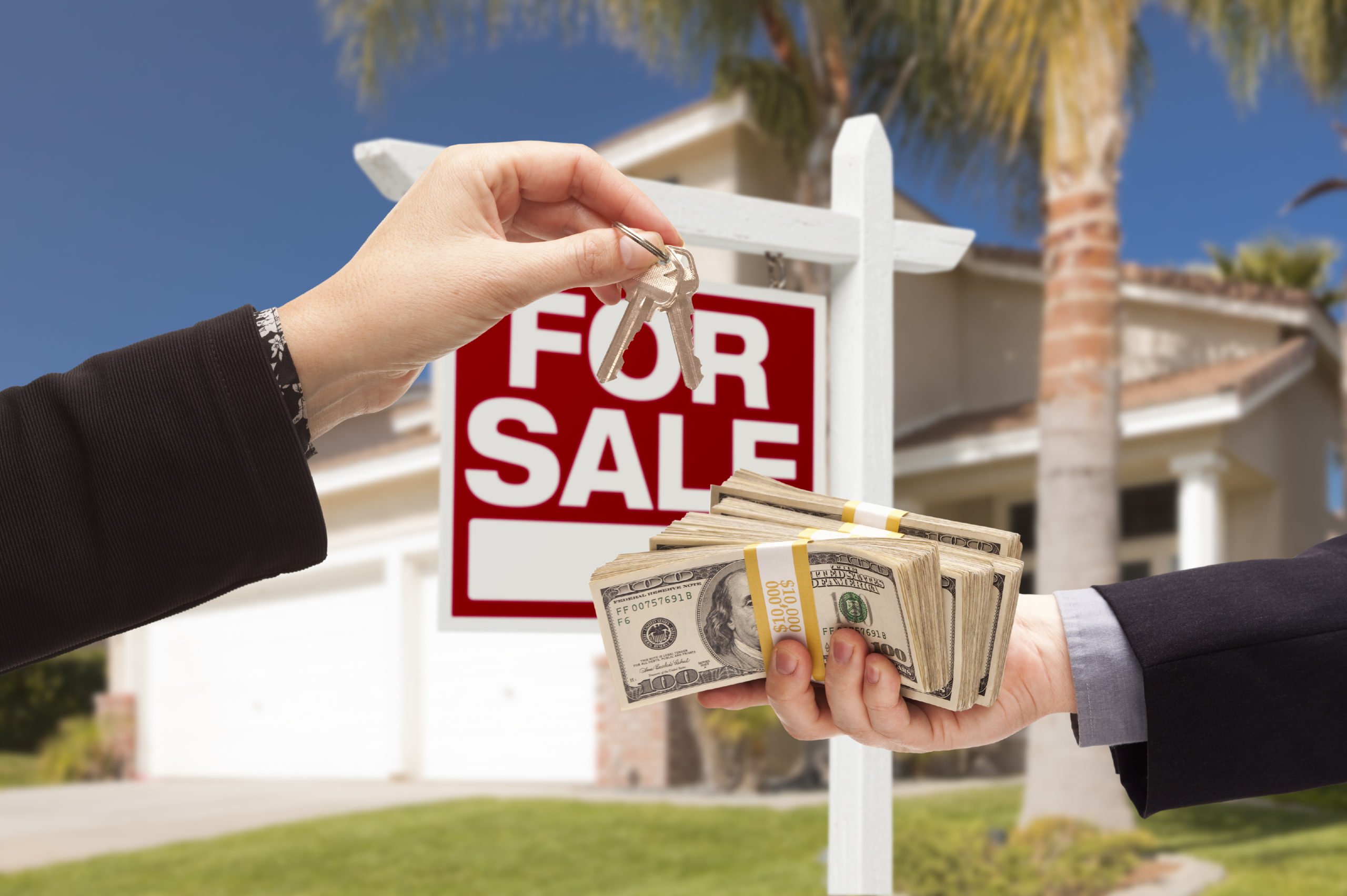 Things To Do After Purchasing A Home Property Scaled